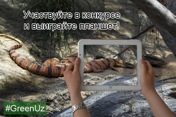 Внимание, конкурс: «прекрасные творения природы».
