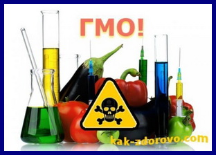 Завершено самое масштабное исследование влияния ГМО на здоровье человека.