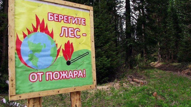 В Узбекистане дан старт экологическому марафону «леса ждут защиты».