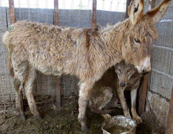 Про добро и зло…