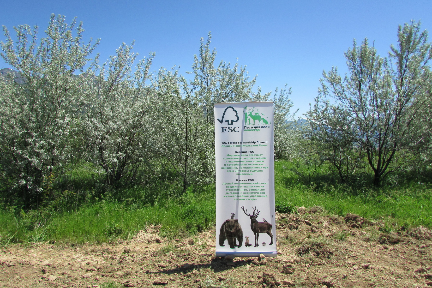 «Ўрмонлар ҳимоя кутмоқда»