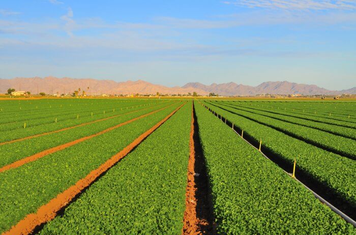 Қишлоқ хўжалигида сувдан фойдаланиш унумдорлигини ошириш – ҳар бир фермернинг вазифаси.