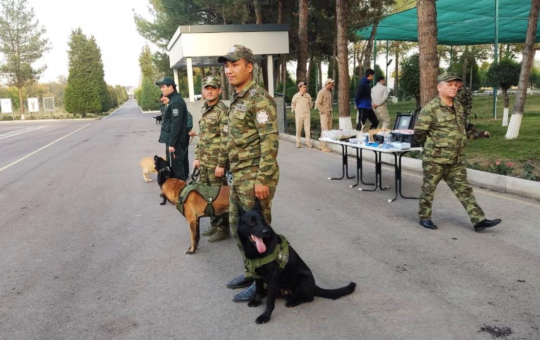 Mamlakatimizning nabobat va hayvonot dunyosi - bebaho boyliklarimizdir!