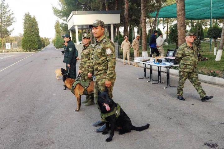 Mamlakatimizning nabobat va hayvonot dunyosi - bebaho boyliklarimizdir!